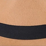 Chapeau Type Fedora